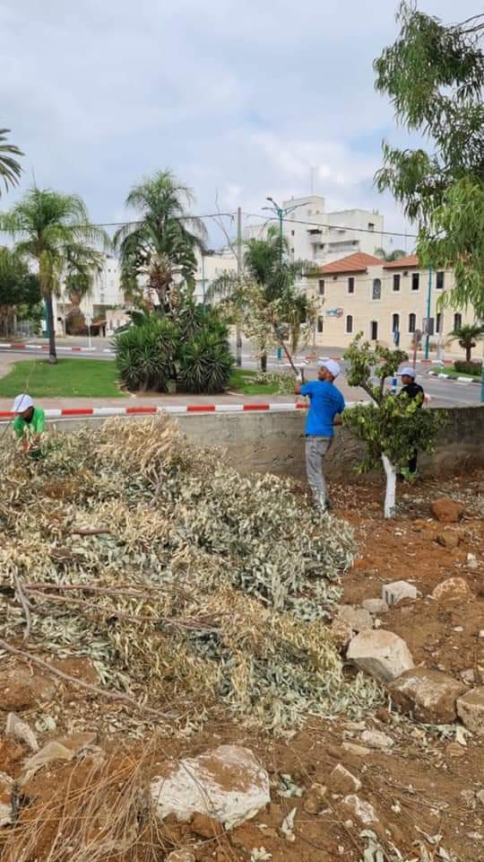 WhatsApp Image 2021-10-02 at 11.32.50 AM (1).jpeg